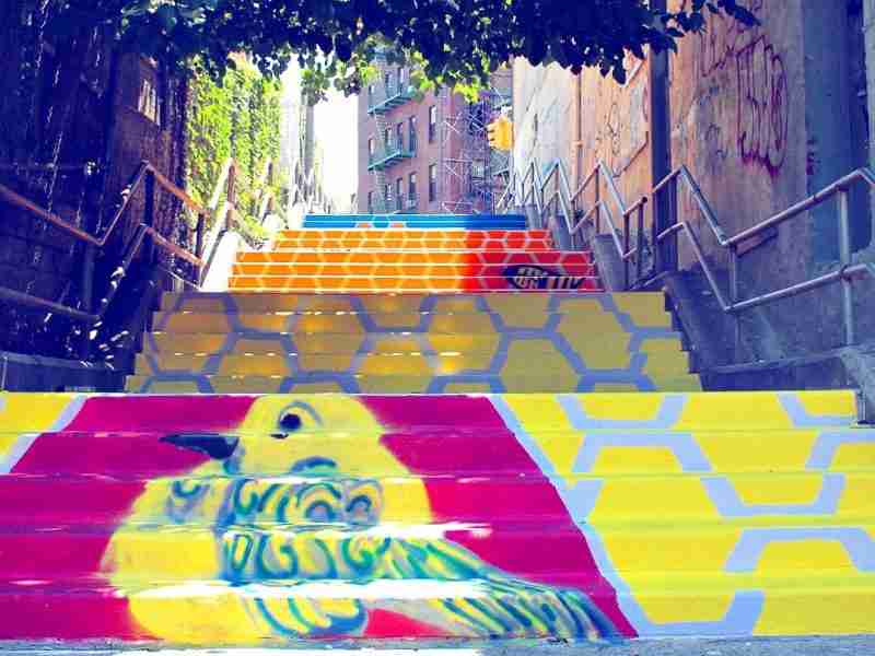 Step Up: Bronx in Motion