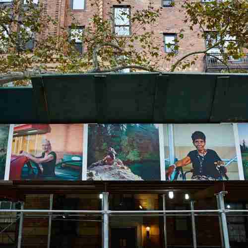 Photos on a green scaffold