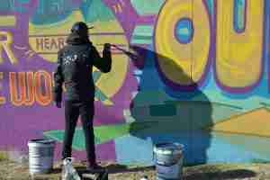 The PAINT project for Mitchell’s Plains township in Cape Town, South Africa