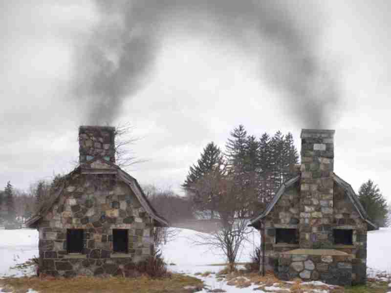 Natural Disruptions by Mark Dorf and Anthony Goicolea