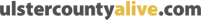 Ulster County -- ArtBridge sponsor